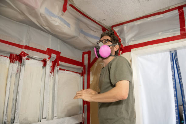 Best Basement Mold Removal  in Jenison, MI
