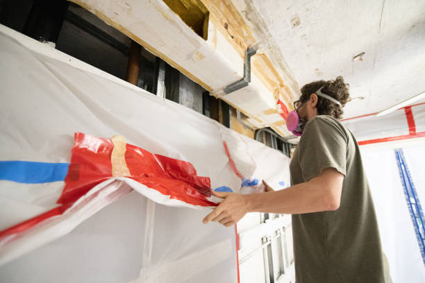 Best Commercial Mold Inspection  in Jenison, MI