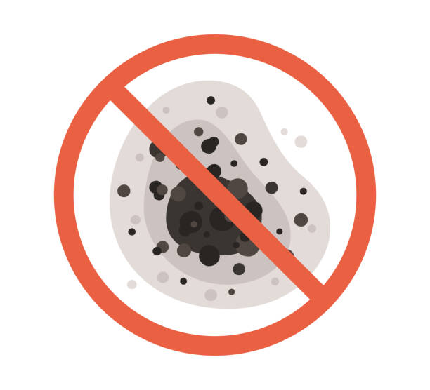 Reliable Jenison, MI Mold Removal Solutions
